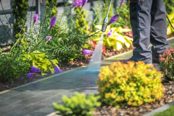 Best Parking Lot and Garage Cleaning  in Brookfield, IL